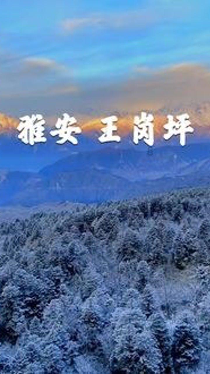 《幻兽帕鲁》云海鹿捕捉位置介绍